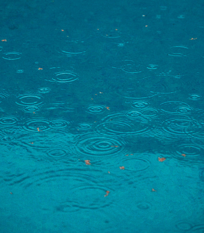 APM Monaco Sustainability Rain Water use