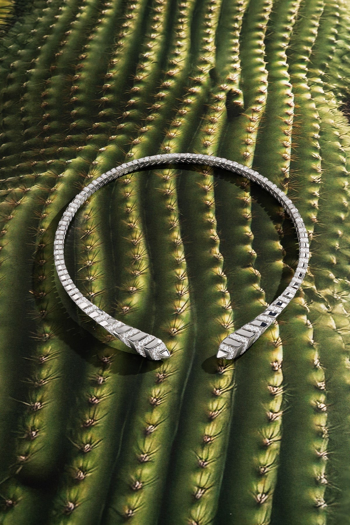 APM MONACO Silver KAA choker on a cactus background